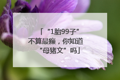 “1胎99子”不算最癫，你知道“母猪文”吗