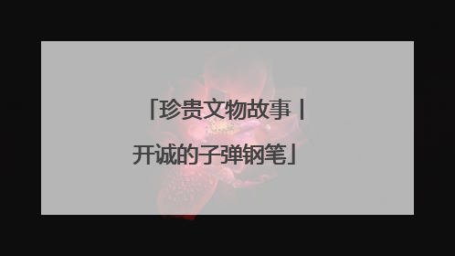 珍贵文物故事丨开诚的子弹钢笔