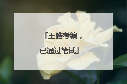 王皓考编，已通过笔试
