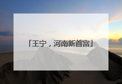 王宁，河南新首富