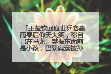 王楚钦回应世乒赛赢雨果后仰天大笑，称自己在马龙、樊振东面前是小孩，巴黎奥运被孙颖莎带着打