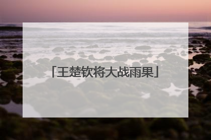 王楚钦将大战雨果