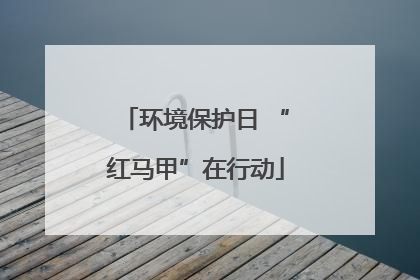 环境保护日 “红马甲”在行动
