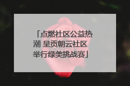 点燃社区公益热潮 呈贡朝云社区举行绿美挑战赛