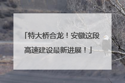 特大桥合龙！安徽这段高速建设最新进展！