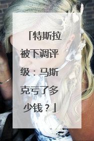 特斯拉被下调评级：马斯克亏了多少钱？
