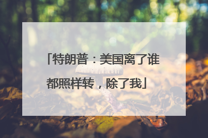 特朗普：美国离了谁都照样转，除了我