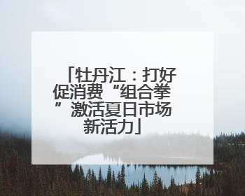 牡丹江：打好促消费“组合拳”激活夏日市场新活力