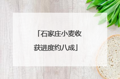 石家庄小麦收获进度约八成