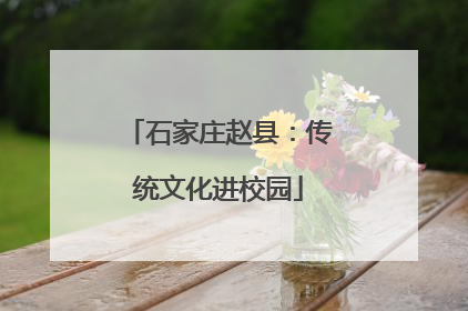 石家庄赵县：传统文化进校园