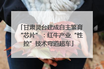 甘肃灵台建成自主繁育“芯片”：红牛产业“性控”技术弯道超车