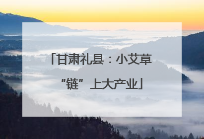 甘肃礼县：小艾草“链”上大产业