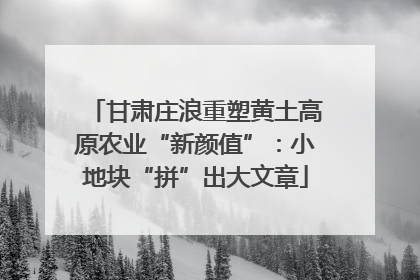 甘肃庄浪重塑黄土高原农业“新颜值”：小地块“拼”出大文章