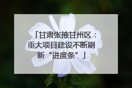 甘肃张掖甘州区：重大项目建设不断刷新“进度条”