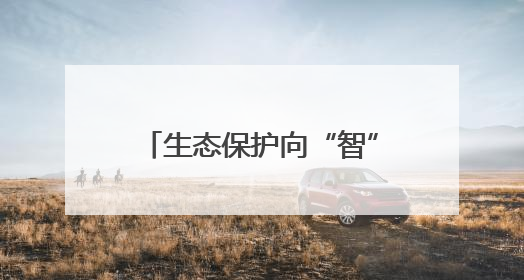 生态保护向“智”向“新” 白海豚有了高科技“保镖”