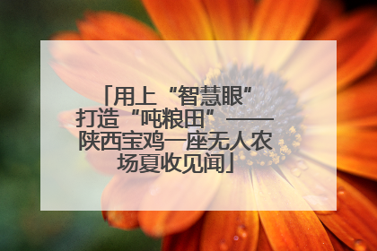 用上“智慧眼” 打造“吨粮田”——陕西宝鸡一座无人农场夏收见闻