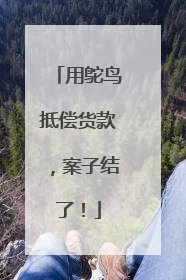 用鸵鸟抵偿货款，案子结了！