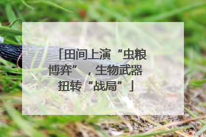 田间上演“虫粮博弈”，生物武器扭转“战局”