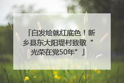 白发绘就红底色！新乡县东大阳堤村致敬“光荣在党50年”