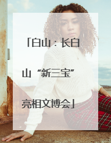 白山：长白山“新三宝”亮相文博会