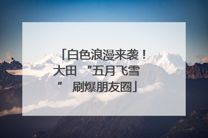 白色浪漫来袭！大田 “五月飞雪” 刷爆朋友圈