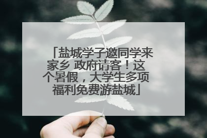 盐城学子邀同学来家乡 政府请客！这个暑假，大学生多项福利免费游盐城