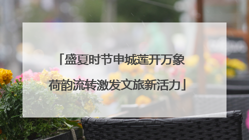 盛夏时节申城莲开万象 荷韵流转激发文旅新活力