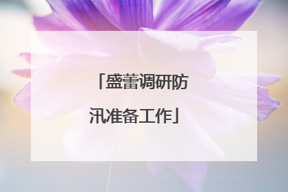盛蕾调研防汛准备工作