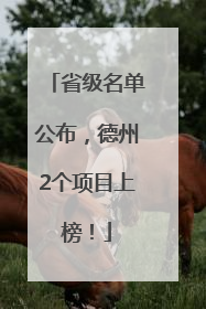 省级名单公布，德州2个项目上榜！