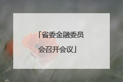 省委金融委员会召开会议