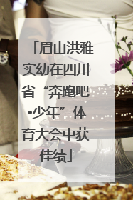 眉山洪雅实幼在四川省“奔跑吧•少年”体育大会中获佳绩
