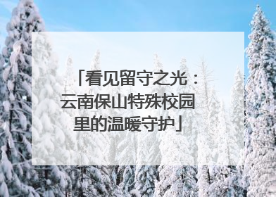 看见留守之光：云南保山特殊校园里的温暖守护