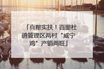 真帮实扶！百里杜鹃管理区两村“威宁鸡”产销两旺