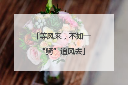 等风来，不如一“骑”追风去