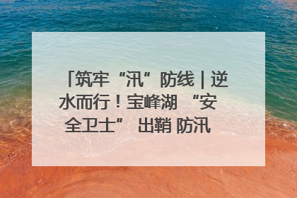 筑牢“汛”防线｜逆水而行！宝峰湖 “安全卫士” 出鞘 防汛应急再添硬核力量