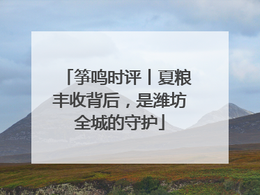筝鸣时评丨夏粮丰收背后，是潍坊全城的守护