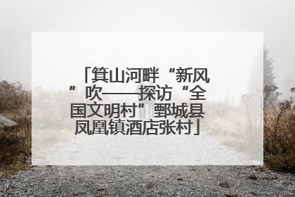 箕山河畔“新风”吹——探访“全国文明村”鄄城县凤凰镇酒店张村