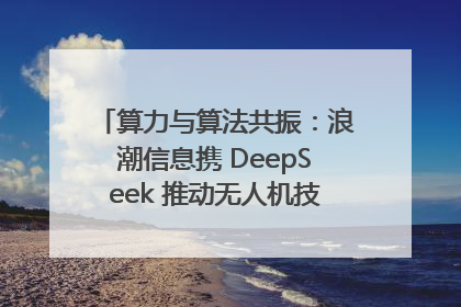算力与算法共振：浪潮信息携 DeepSeek 推动无人机技术在舟山落地
