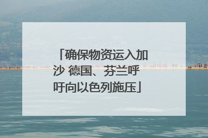确保物资运入加沙 德国、芬兰呼吁向以色列施压