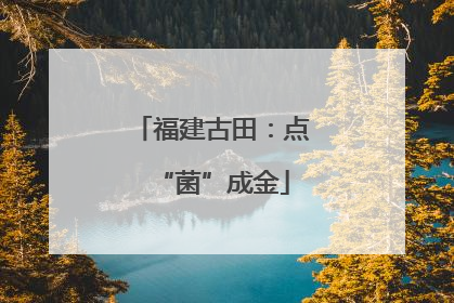 福建古田：点“菌”成金