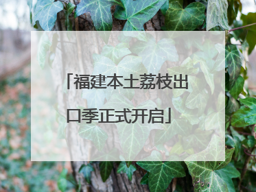 福建本土荔枝出口季正式开启
