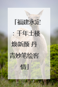 福建永定：千年土楼焕新颜 丹青妙笔绘客情