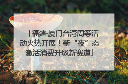 福建·厦门台湾周等活动火热开展！新“夜”态激活消费升级新赛道