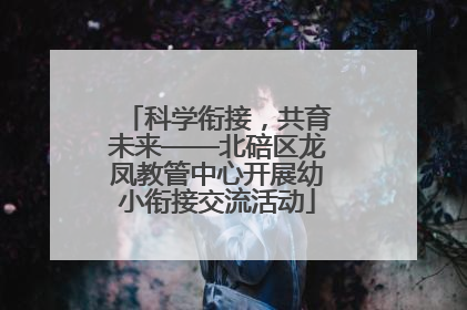 科学衔接，共育未来——北碚区龙凤教管中心开展幼小衔接交流活动