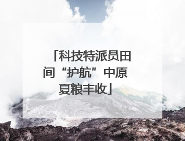 科技特派员田间“护航”中原夏粮丰收