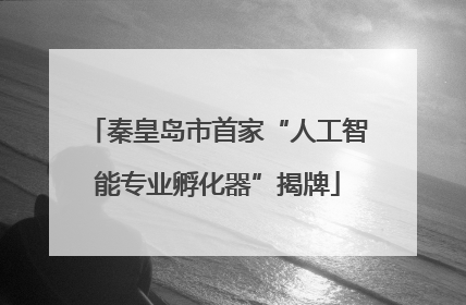 秦皇岛市首家“人工智能专业孵化器”揭牌