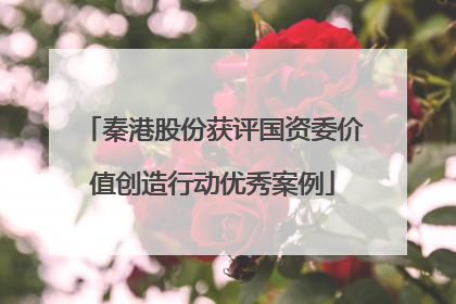 秦港股份获评国资委价值创造行动优秀案例