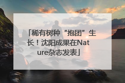 稀有树种“抱团”生长！沈阳成果在Nature杂志发表