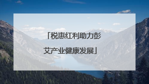 税惠红利助力彭艾产业健康发展