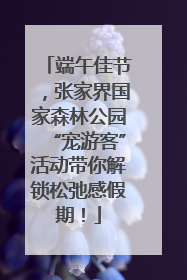 端午佳节，张家界国家森林公园“宠游客”活动带你解锁松弛感假期！